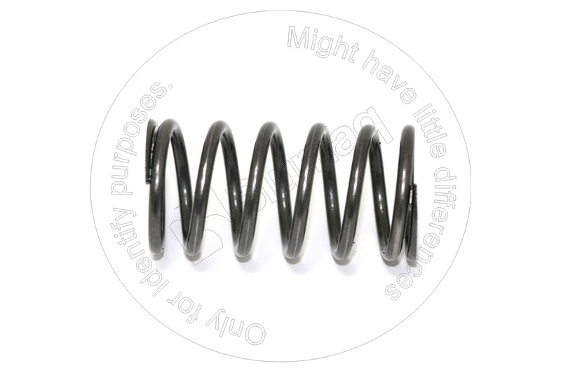 Valve spring Blumaq 224-4441