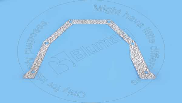 Gasket (crankcase flywheel) Blumaq 3938159