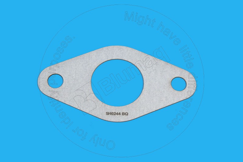 Gasket (crankcase flywheel) Blumaq 5H0244