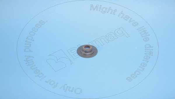 Сальник выпускного клапана Blumaq 254-3954 Сальник выпускного клапана Blumaq 254-3954