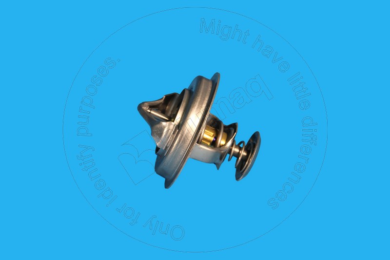 Термостат Blumaq YM123911-48620 Термостат Blumaq YM123911-48620
