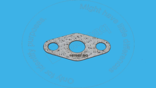 Gasket (high pressure fuel pump) Blumaq 1S7057