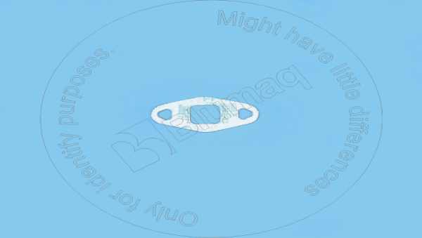 Gasket Blumaq 3937706